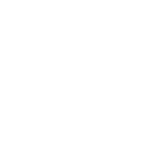 logo-ns-alliance-partner-white