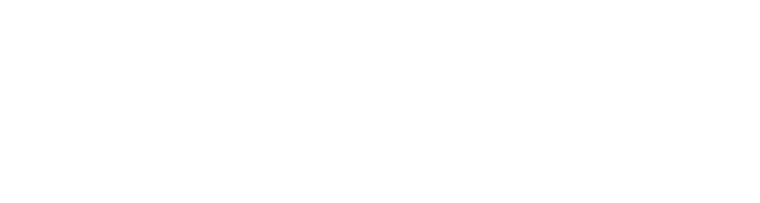 logo-ns-alliance-partner-white