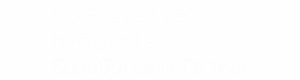 o-netsuite-suitesuccesspartner