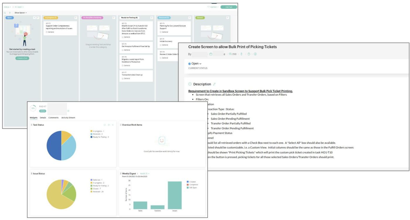 RXD Systems NetSuite Consultants Issue Management System